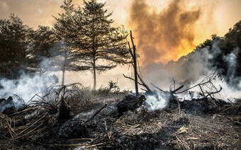 Оценка ущерба после стихийного бедствия в Белгороде: отчет оценщика